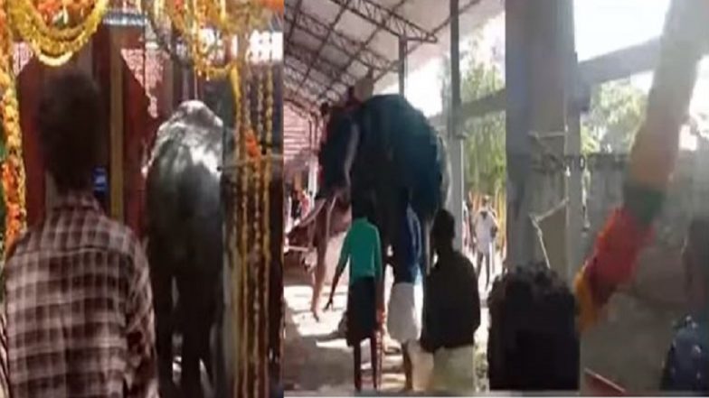 Kerala: ক্ষেপে গিয়ে মন্দির চত্বরে হাতির ধাক্কা, পদপিষ্ট হওয়া থেকে পালালেন পুরোহিত, ভাইরাল ভিডিয়ো