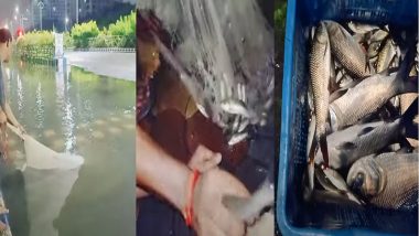 Kolkata Rain: নিউটাউনের রাস্তায় এক হাঁটু জল, পটাপট ১৫ কেজির কাতলা মাছ ধরলেন তরুণী