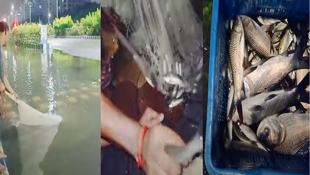 Kolkata Rain: নিউটাউনের রাস্তায় এক হাঁটু জল, পটাপট ১৫ কেজির কাতলা মাছ ধরলেন তরুণী