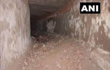 Tunnel Discovered At Delhi Assembly: দিল্লি বিধানসভায় খোঁজ মিলল গোপন সুড়ঙ্গের! কী জন্য ব্যবহার হত এই গোপন পথের ?