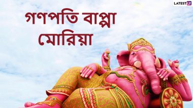 Happy Ganesh Chaturthi 2021: গণেশ উৎসবের আন্তরিক প্রীতি ও শুভেচ্ছা, বন্ধু পরিজনকে পাঠিয়ে দিন এই বার্তা