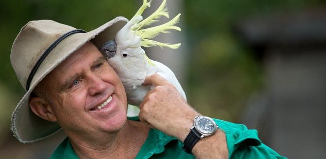 Matthew Hayden: আইসিসির হল অফে ফেমে ম্যাথু হেডেন, হাসিম আমলা