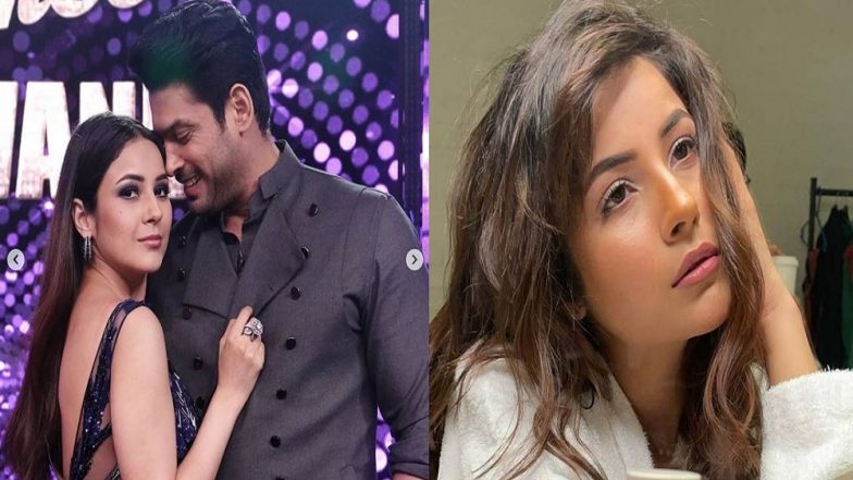 Shehnaaz Gill: বিড়বিড় করছেন, সিদ্ধার্থের মৃত্যুর পর শেহনাজ যেন 'ফ্যাকাশে' হয়ে গিয়েছেন