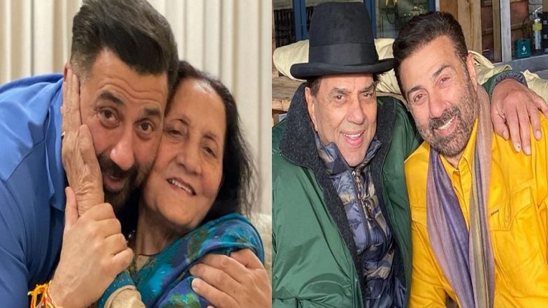 Sunny Deol: সংসদে সুপার ফ্লো শো সানি দেওলের, জানুন সাংসদ দেওলের রেজাল্ট