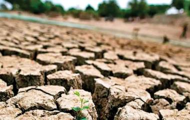 Madhya Pradesh: বৃষ্টির দেবতাকে তুষ্ট করতে ৬ নাবালিকাকে নগ্ন করে ঘোরানো হল গোটা গ্রাম!