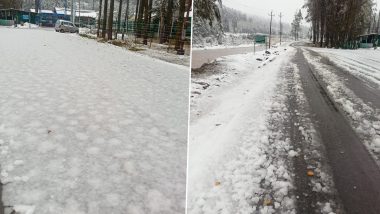 Snowfall In Jammu And Kashmir: মরসুমের প্রথম তুষারপাত ভূস্বর্গ কাশ্মীরে, দেখুন ছবি