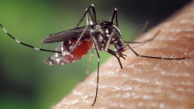 Delhi Dengue: দিল্লিতে বাড়ছে ডেঙ্গু, জুনে আক্রান্ত ৩২জন