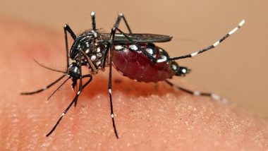 Dengue: ডেঙ্গির প্রকোপ, হু হু করে বাড়ছে আক্রান্তের সংখ্যা
