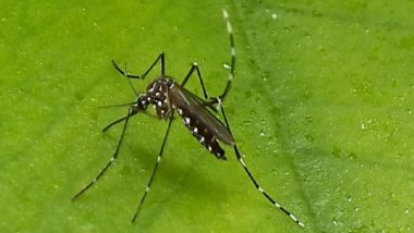 Anti-Dengue Curbs: পড়ুয়াদের ডেঙ্গুর প্রকোপ থেকে বাঁচাতে নয়া নির্দেশিকা উত্তরপ্রদেশ সরকারের