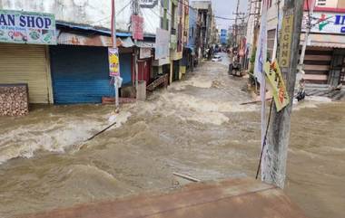 Assam Floods: ব্যস্ত জাতীয় সড়কে জাল দিয়ে মাছ ধরার ভিড়, অসমের বন্যার অন্য ছবি