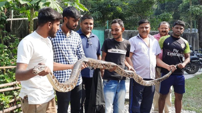 Siliguri: শিলিগুড়ির ফুলবাড়ি থেকে উদ্ধার ১০ ফুটের বার্মিজ অজগর