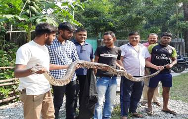 Siliguri: শিলিগুড়ির ফুলবাড়ি থেকে উদ্ধার ১০ ফুটের বার্মিজ অজগর