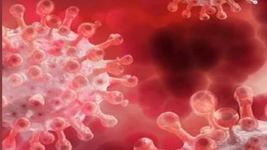 Norovirus: কেরলে হানা দিল সংক্রামক 'নরোভাইরাস', আক্রান্ত ১৩ জন পড়ুয়া