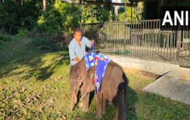 Kaziranga: কাজিরাঙ্গায়  শীতে কাবু বাচ্চা হাতিদের কম্বল পরানো হচ্ছে