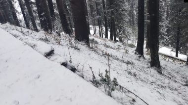 Shimla Snowfall: বরফের চাদরে ঢাকল হিমাচল প্রদেশের সিমলা
