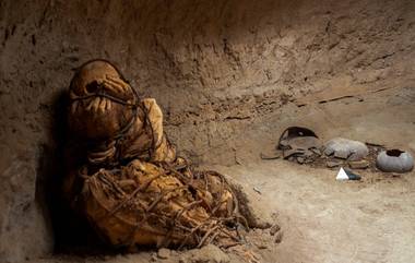 1,200 Years Old Mummy: পেরুতে ১২০০ বছরের পুরনো মমির সন্ধান