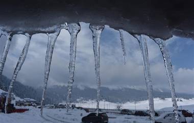 Srinagar: মরসুমের শীতলতম রাত শ্রীনগরে, মাইনাস ৩.৯ ডিগ্রিতে নামল তাপমাত্রা