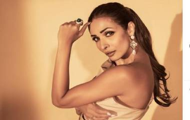 Malaika Arora: 'অতিরিক্ত নেশার ফল, বুড়ো বয়সে হিল পরলে যা হয়', নোংরা আক্রমণের মুখে মালাইকা