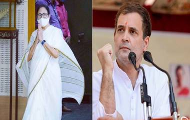 Rahul Gandhi: আসন সমঝোতায় টানাটানি, তবু মমতাকে ইন্ডিয়ার আসনে বসালেন রাহুল গান্ধী