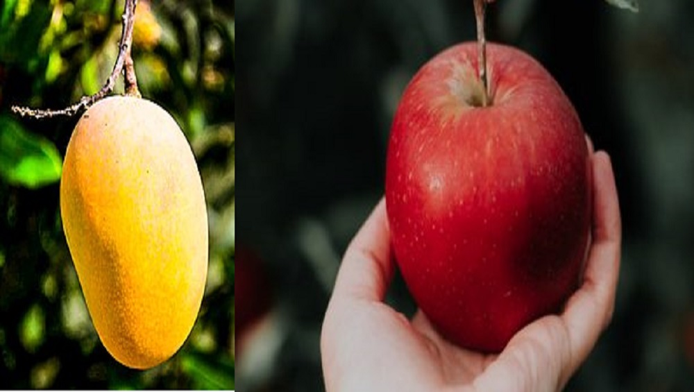Lucky Fruits for New Year 2022: আম থেকে আপেল, নতুন বছরে আপনার জীবনে সৌভাগ্য বয়ে আনতে পারে এই ৫ ফল
