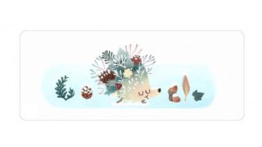 Winter Season 2021 Google Doodle: উত্তর গোলার্ধে পড়ছে বরফ, হাঁটছে হেজহগ (দেখুন ভিডিও)