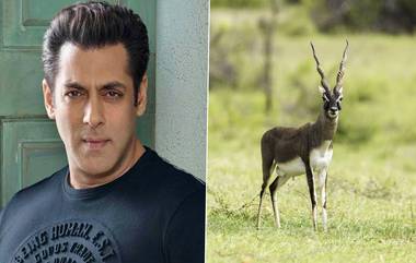 Memorial For Blackbucks: সলমন খানের হাতে হত্যা হওয়া কৃষ্ণসার হরিণের জন্য রাজস্থানে স্মৃতিসৌধ