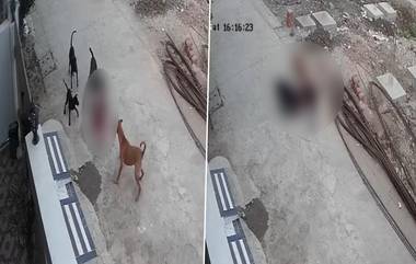 4 Year Old Girl Bitten By Dogs: ৪ বছরের শিশুর উপর ঝাঁপিয়ে পড়ে ক্ষতবিক্ষত করল কুকুরের দল! ধরা পড়ল সিসিটিভি-তে