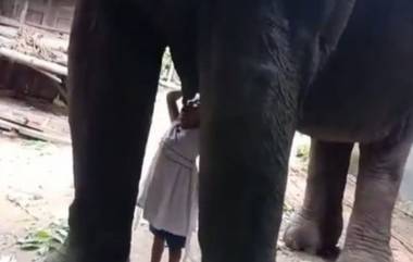 Girl Drinks Milk From Elephant: হাতির দুধ খাচ্ছে মানুষের বাচ্চা! ভাইরাল অসমের ভিডিও