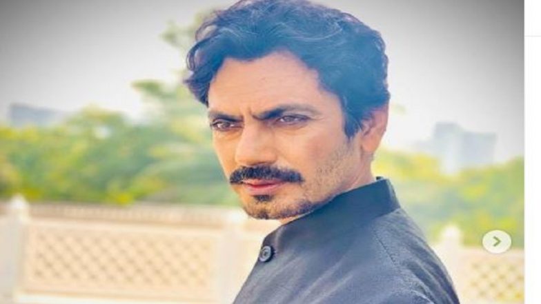 Nawazuddin Siddiqui: মুম্বইতে 'প্রাসাদ' তৈরি করলেন নওয়াজউদ্দিন সিদ্দিকি, দেখুন