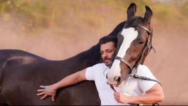 Salman Khan: বাগান বাড়িতে প্রিয় পোষ্যর সঙ্গেই সময় কাটছে সলমন খানের