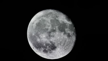 SpaceX Rocket On Course To Hit Moon: ইলন মাস্কের স্পেসএক্স-র রকেটের সঙ্গে চাঁদের সংঘর্ষ হবে, উদ্বিগ্ন বিজ্ঞানীরা