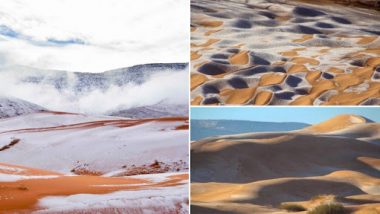 Snow Falls Across Sahara Desert: বিশ্বের উষ্ণতম সাহারা মরুভূমিতে তুষারপাত! ভাইরাল ভিডিও