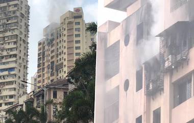 Mumbai Fire Update: মুম্বইয়ের বহুতলে আগুন লেগে অন্তত ৭ জনের মৃত্যু