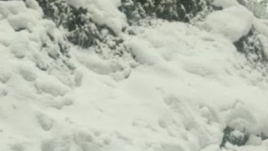 Snowfall In Shimla: হিমাচল প্রদেশের সিমলায় আজ সকালে নতুন করে তুষারপাত হয়েছে