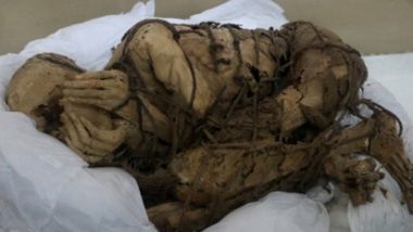 1,200 Year Old Remains Of Human Unearthed: ১২০০ বছরের পুরনো মানুষের দেহাংশ খুঁজে পেলেন পেরুর প্রত্নতাত্ত্বিকরা