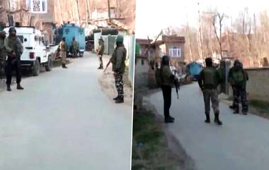 Terrorist killed In J&K: জম্মু ও কাশ্মীরের শোপিয়ানে নিরাপত্তা বাহিনীর এনকাউন্টারে নিকেশ ১ জঙ্গি