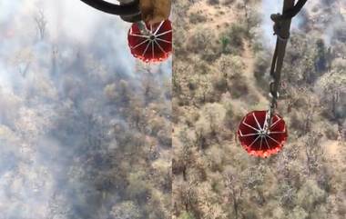 Rajasthan: রাজস্থানে ব্যাঘ্র সংরক্ষণ প্রকল্পে আগুন, দেখুন ভিডিয়ো