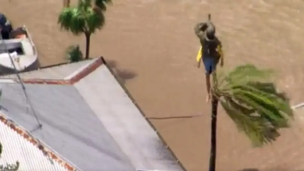Australian Floods: অস্ট্রেলিয়ায় ভয়াবহ বন্যা, একের পর এক মৃত্যুতে আতঙ্ক