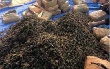 NCB Arrests 6 With Ganja: ৪০০ কেজি গাঁজা-সহ হাওড়া থেকে ধৃত ৬