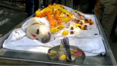 Bomb Detection And Disposal Squad Dog Dies: শেষ যাত্রায় হিরোর সম্মানে সম্মানিত বম্ব স্কোয়াডের কুকুর সিম্বা, ভাইরাল ভিডিও