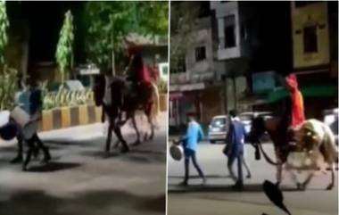 Viral: বরযাত্রী নেই, ব্যান্ড পার্টি নিয়ে ঘোড়ায় চড়ে বিয়ে করতে চলেছে বর! (ভাইরাল ভিডিও)