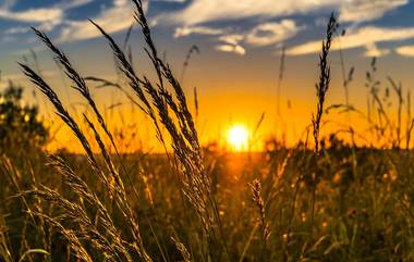 West Bengal Weather Update: কলকাতা শুকনো, ভিজবে দক্ষিণের ৪ জেলা