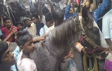 Horse In Diamond Harbour Local: ভিড় ঠাসা ডায়মন্ড হারবার লোকালে সফর করছে ঘোড়া! ভাইরাল ছবি