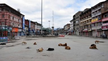 Stray Dog Attack In Srinagar: কাশ্মীরের শ্রীনগরে কুকুর আতঙ্ক, কামড় খেয়ে হাসপাতালে ৩৯ জন
