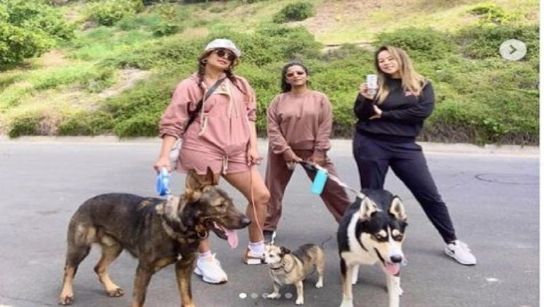 Priyanka Chopra: পোষ্যদের নিয়ে লস এঞ্জেলসে দিন কাটছে 'নতুন মা' প্রিয়াঙ্কার