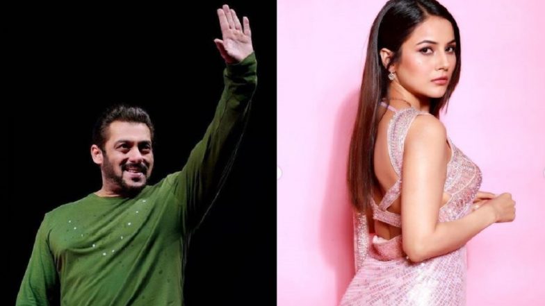 Shehnaaz Gill: সলমনের হাত ধরে বলিউডে পা রাখছেন শেহনাজ গিল, জল্পনা