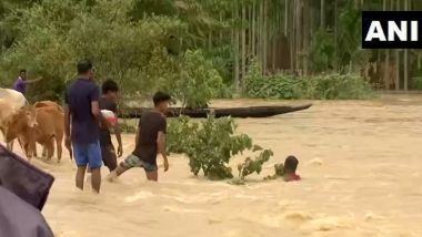 Assam Flood: হু হু করে জল বাড়ছে হোজাই, নগাঁওয়ে, অসমে খারাপ হচ্ছে বন্যা পরিস্থিতি, অসহায় মানুষ