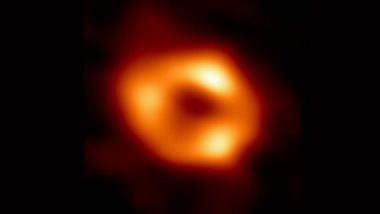 Black Hole Image: আকাশগঙ্গার কেন্দ্রে আমাদের ছায়াপথে ব্ল্যাক হোল! সেই রাক্ষুসে ঘাতকের প্রথম ছবি প্রকাশ্যে আনলেন জ্যোতির্বিজ্ঞানীরা