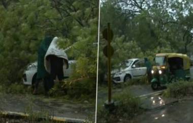 Delhi Rains: কালবৈশাখী ও ভারী বর্ষণের জেরে গাছ পড়ে বন্ধ রাজধানীর রাজপথ (দেখুন ভিডিও)