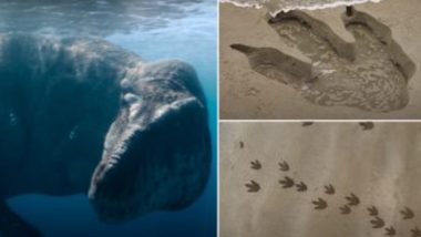 Dinosaur's Footprints Appear On Local Beach: ইংল্যান্ডের সমুদ্রসৈকতে ডাইনোসরের পায়ের ছাপ (দেখুন ভিডিও)